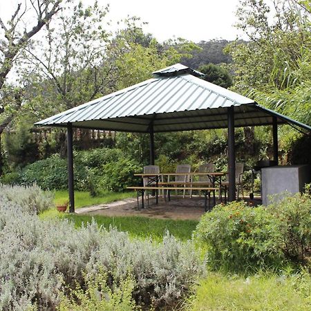 Senani Colonial Holiday Bungalow 누와라 엘리야 외부 사진