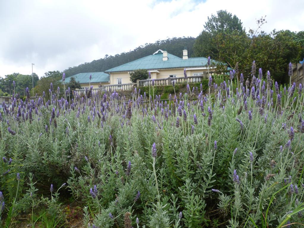 Senani Colonial Holiday Bungalow 누와라 엘리야 객실 사진